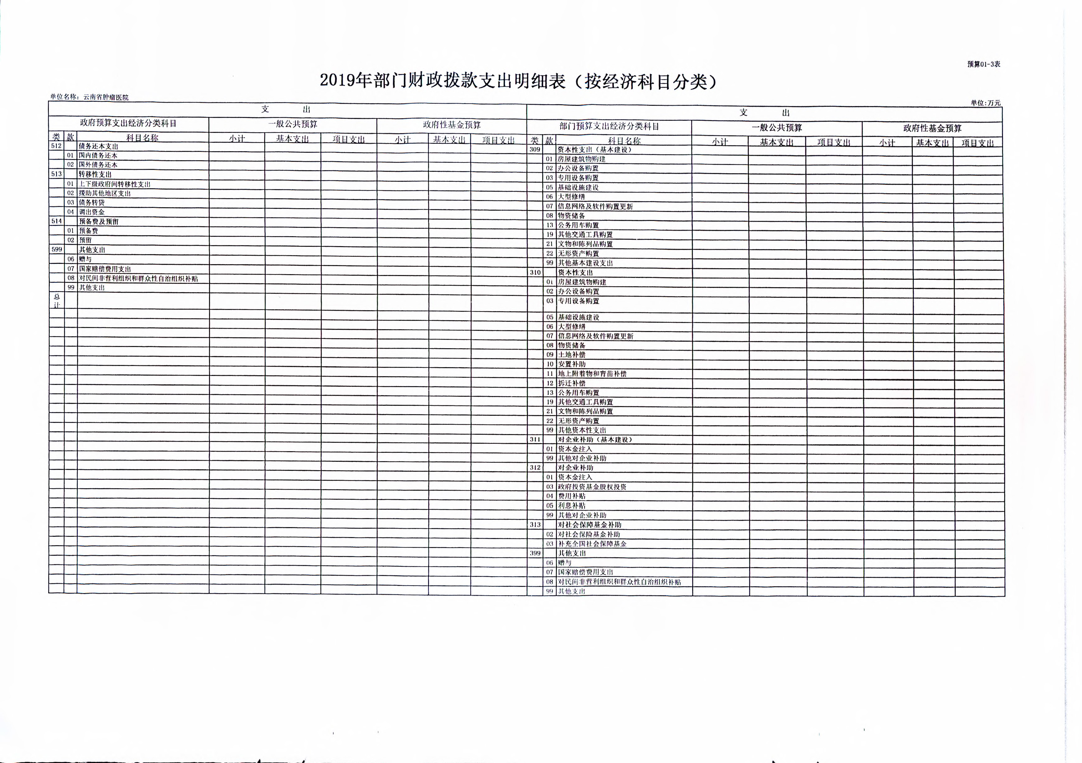 《云南省卫生健康委关于云南省肿瘤医院2019年部门预算的批复》（云卫规财发【2019】1-10号_页面_10